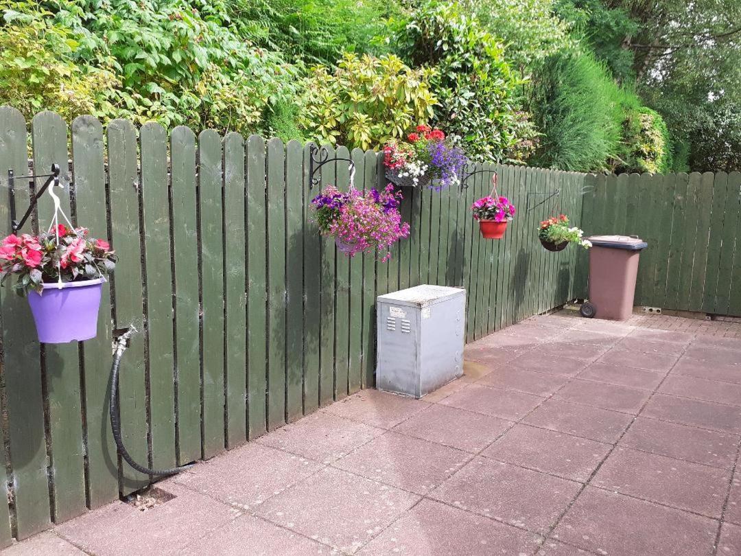 Torrent Cottage Coalisland Bagian luar foto