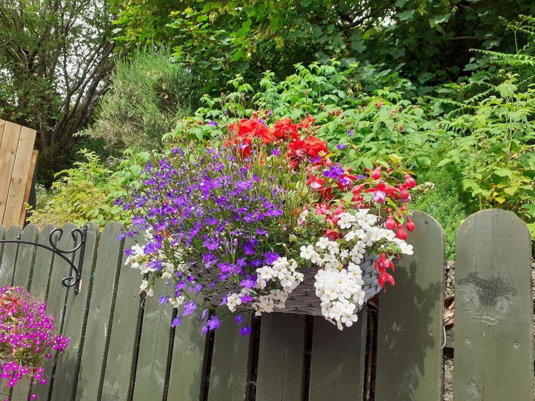 Torrent Cottage Coalisland Bagian luar foto