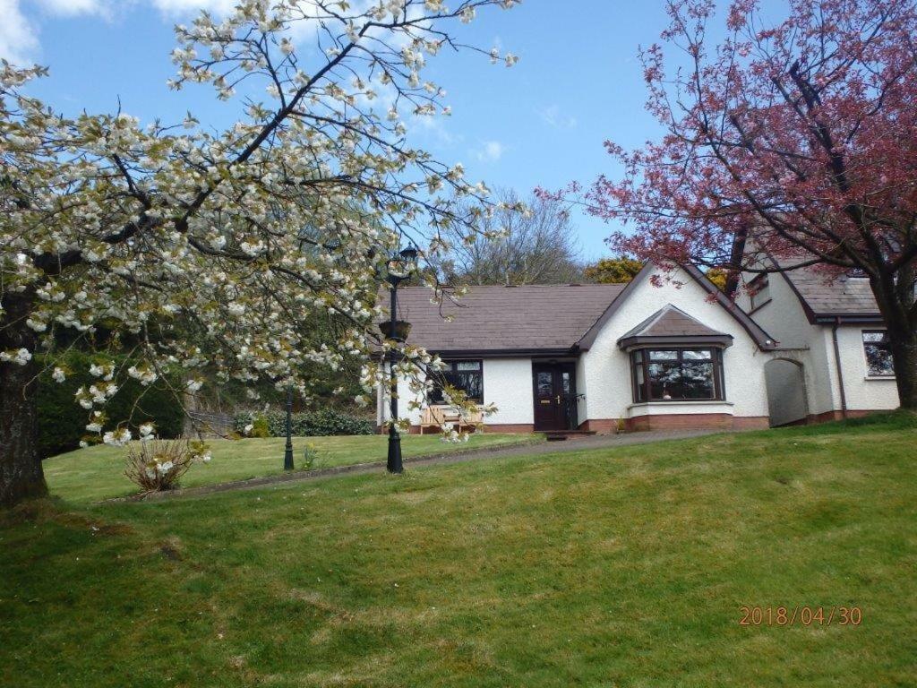 Torrent Cottage Coalisland Bagian luar foto
